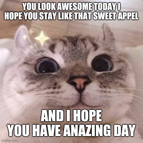 have a nice day